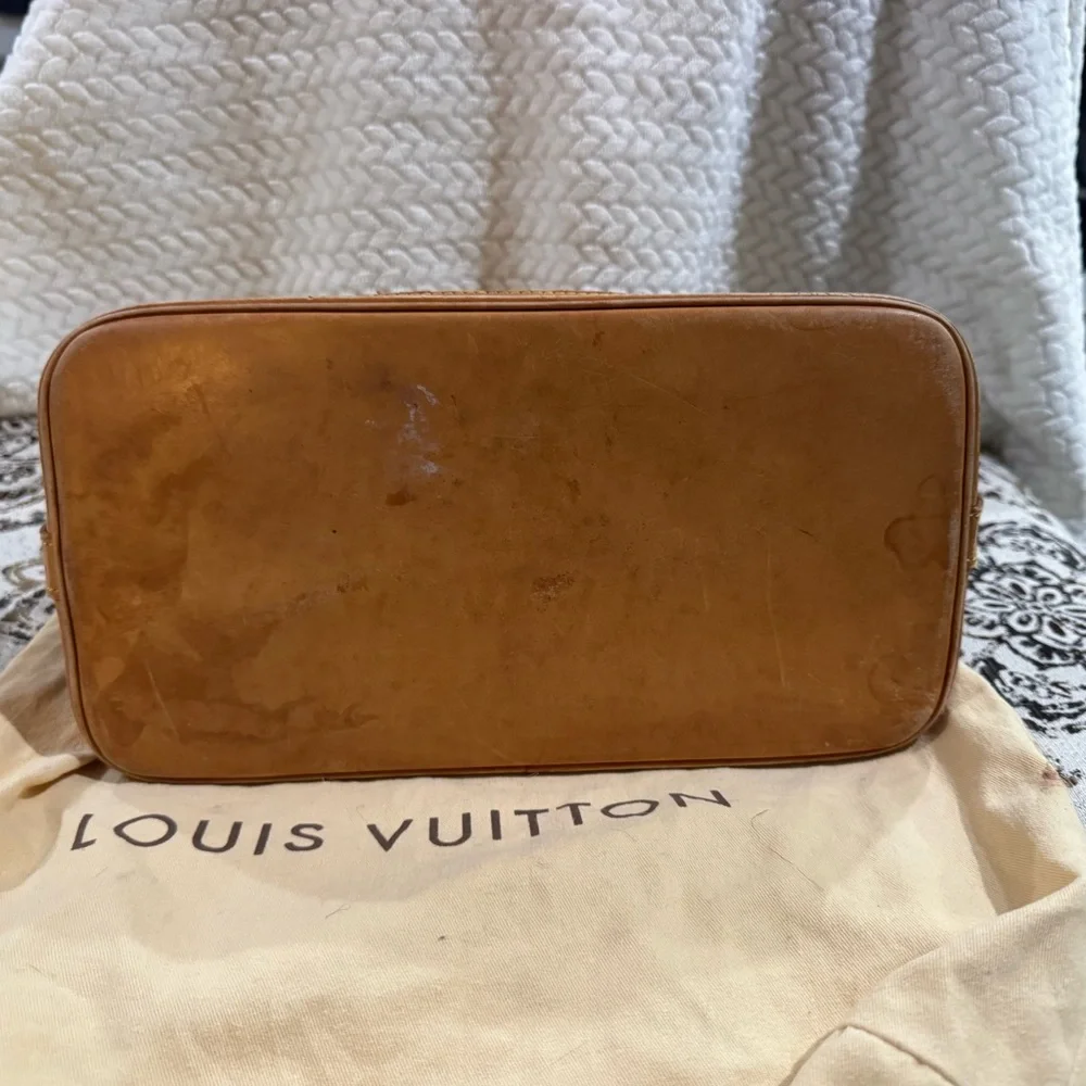 Louis Vuitton Classic Brown Satchel